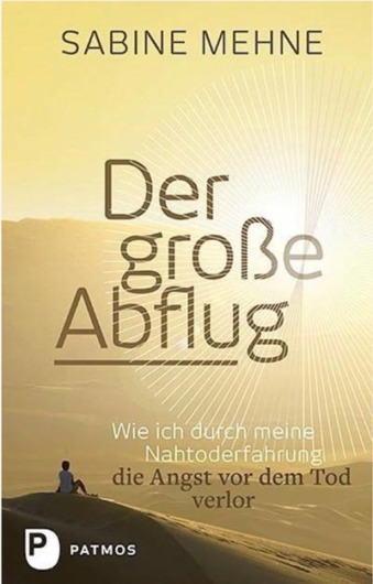 Sabine Mehne Buch Der große Abflug