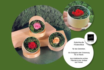 PatoVerde-FlowerBox / Pato-ErinnerungsBox